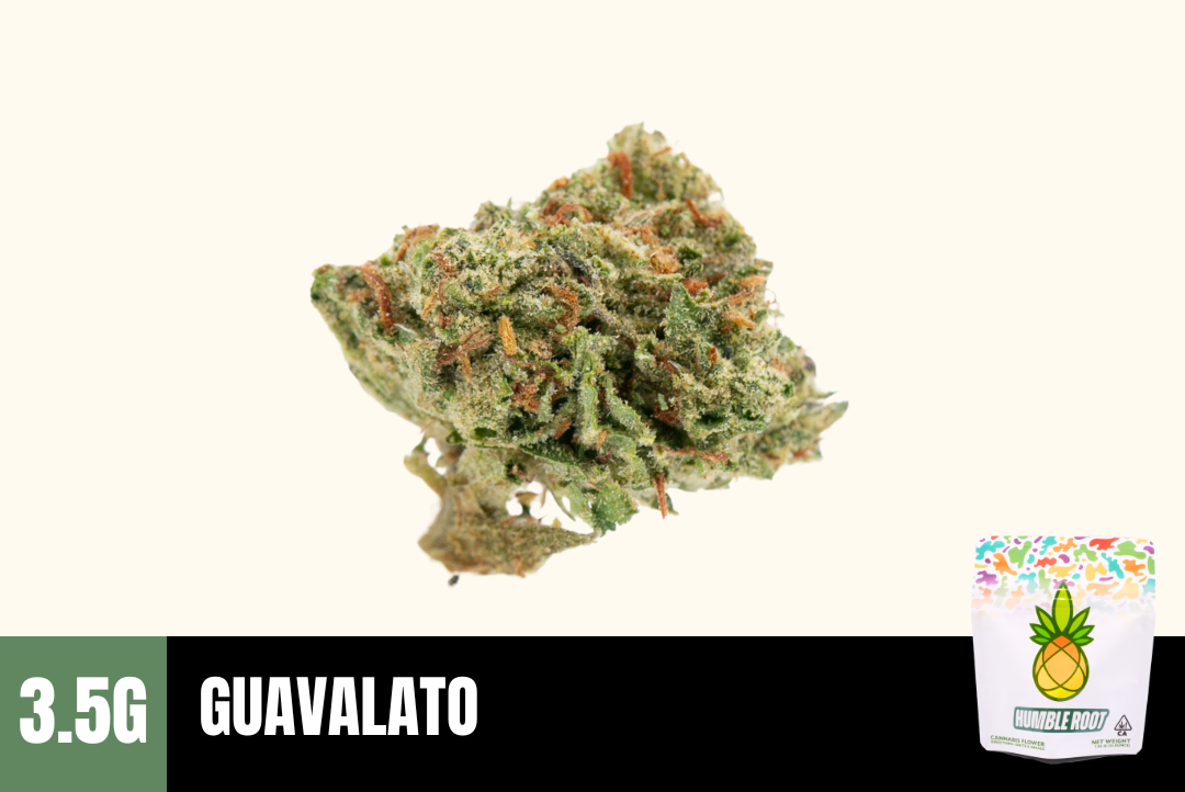 3.5g Guavalato (Greenhouse Smalls) - Humble Root picture
