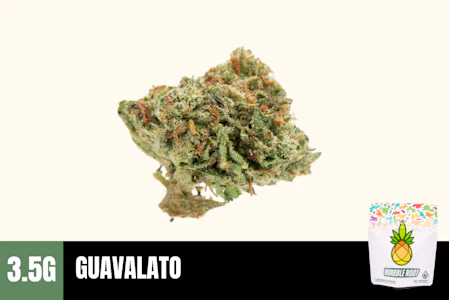 Humble Root - 3.5g Guavalato (Greenhouse Smalls) - Humble Root