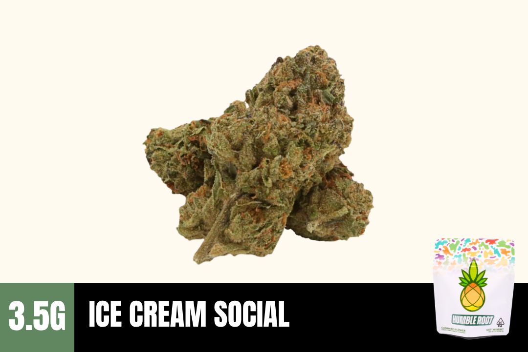 3.5g Ice Cream Social (Greenhouse) - Humble Root picture