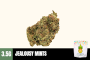 3.5g Jealousy Mints (Greenhouse) - Humble Root