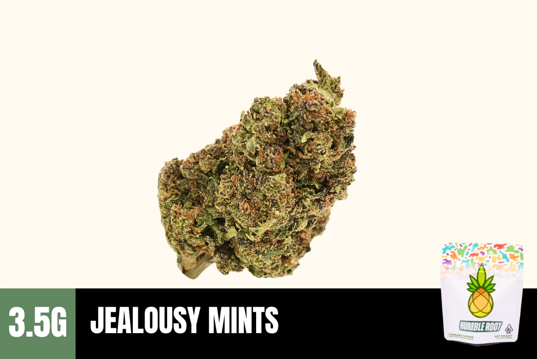 Humble Root - 3.5g Jealousy Mints (Greenhouse) - Humble Root Main Image