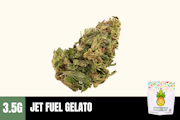 3.5g Jet Fuel Gelato (Greenhouse) - Humble Root