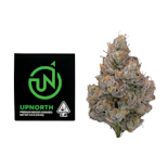 3.5g Jungle Juice (Indoor) - UpNorth