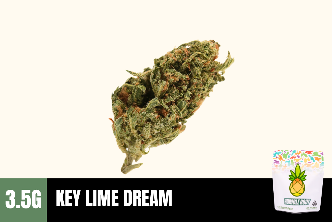 3.5g Key Lime Dream (Greenhouse) - Humble Root picture