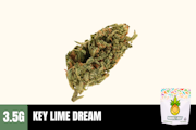 3.5g Key Lime Dream (Greenhouse) - Humble Root