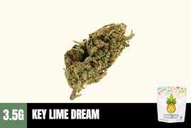 3.5g Key Lime Dream (Greenhouse) - Humble Root