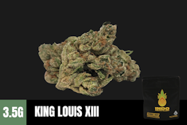 3.5g King Louis XIII (Indoor Smalls Black Label) - Humble Root