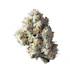 Product Preview Image 2
