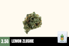 3.5g Lemon Zlushie (Greenhouse Smalls) - Humble Root