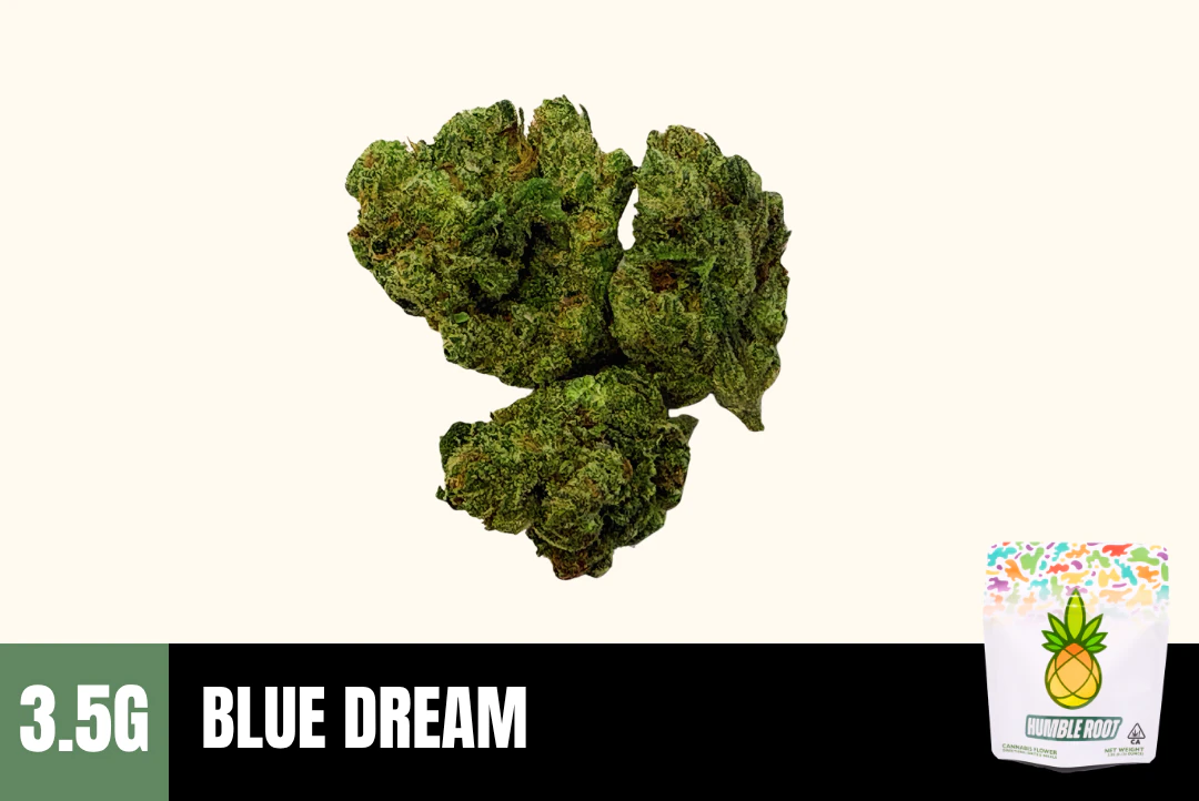 Humble Root - 3.5g Blue Dream (Greenhouse) - Humble Root Main Image