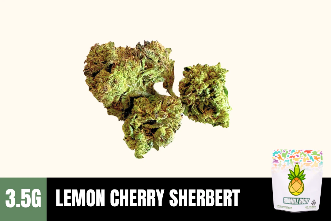 Humble Root - 3.5g Lemon Cherry Sherbert - Humble Root Main Image