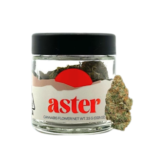 Aster Farms - 3.5g Mango Haze (Sungrown) - Aster Farms
