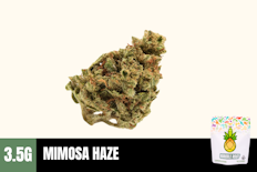 3.5g Mimosa Haze (Greenhouse) - Humble Root