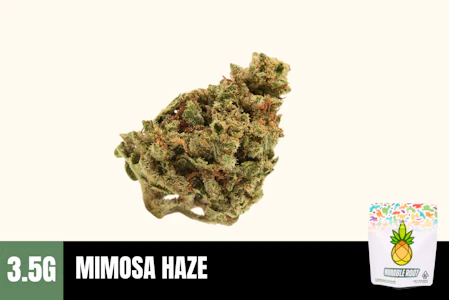 Humble Root - 3.5g Mimosa Haze (Greenhouse) - Humble Root