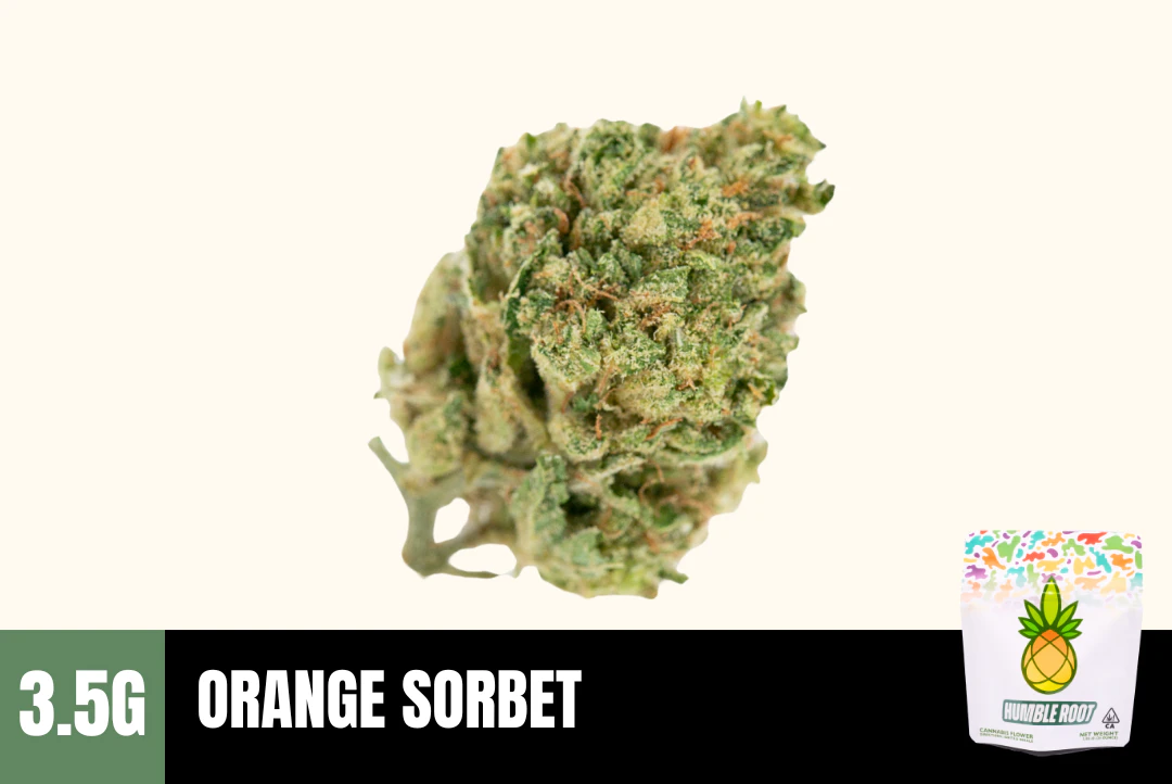 Humble Root - 3.5g Orange Sorbet (Greenhouse) - Humble Root Main Image