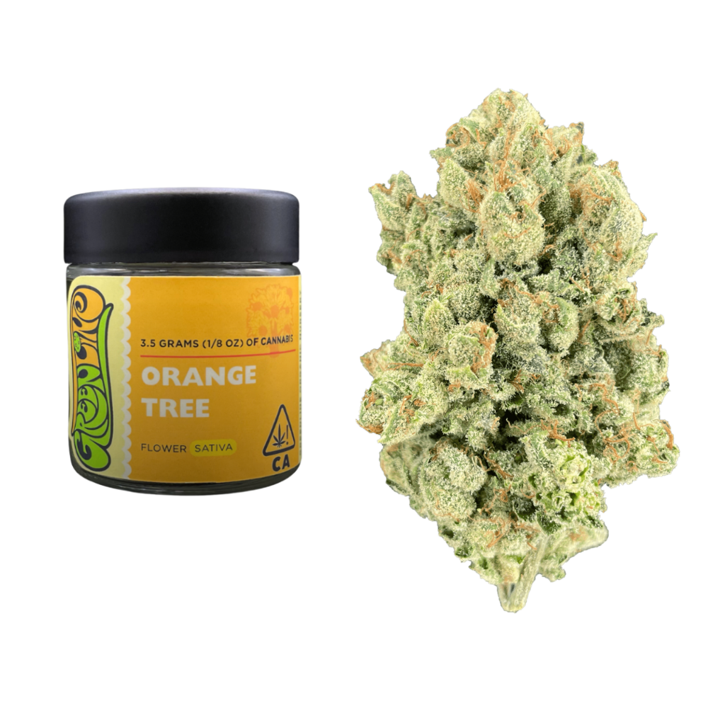 3.5g Orange Tree (Indoor) - Greenline picture