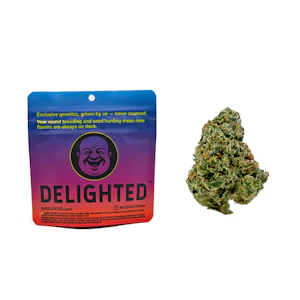 DELIGHTED - 3.5g Oreoz Blizzard (Indoor) - Delighted