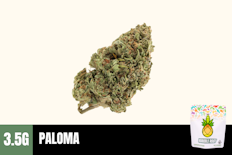 3.5g Paloma (Greenhouse) - Humble Root