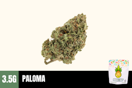3.5g Paloma (Greenhouse) - Humble Root