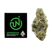 3.5g Panama Red (Indoor) - UpNorth