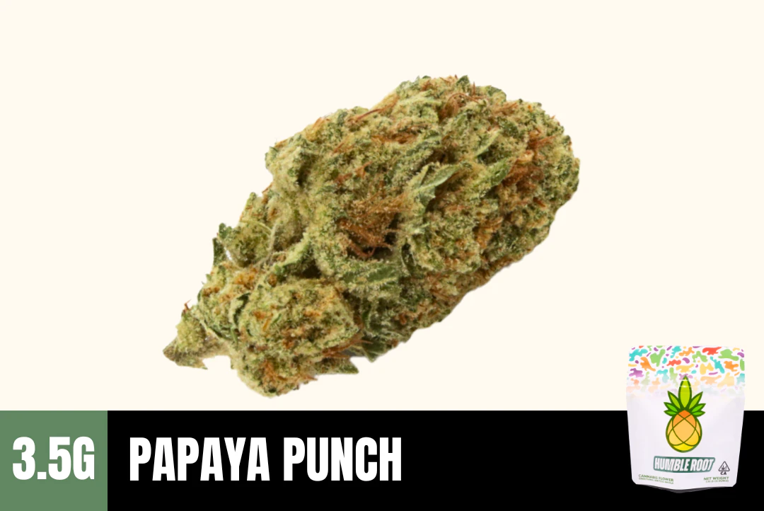 Humble Root - 3.5g Papaya Punch (Greenhouse) - Humble Root Main Image