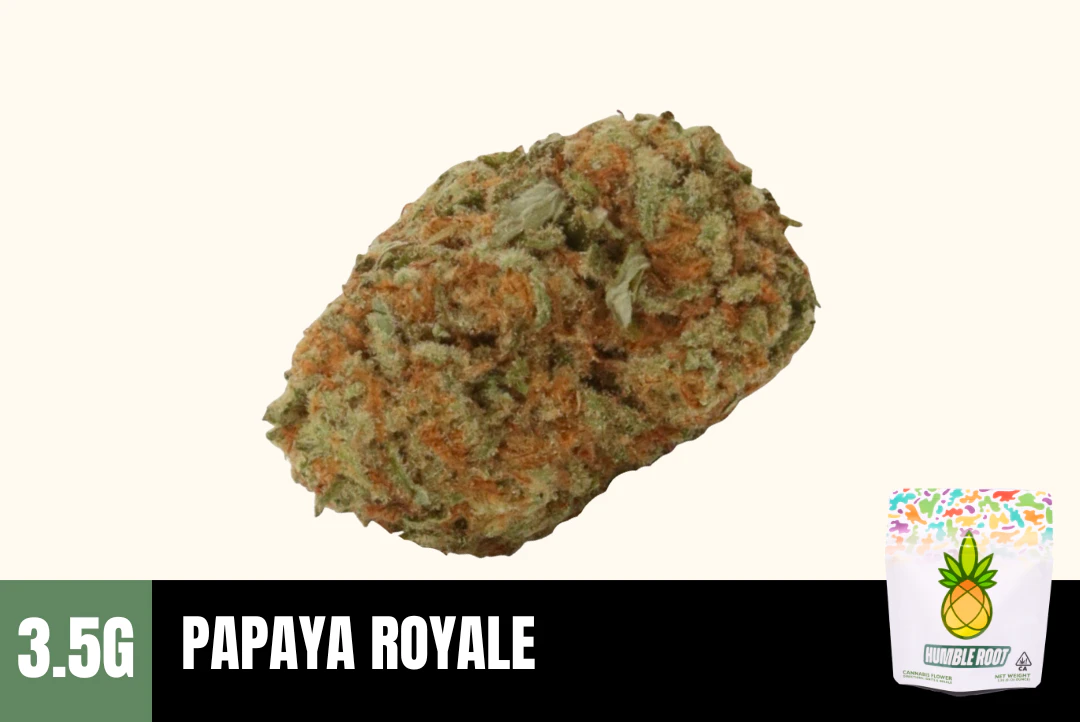 Humble Root - 3.5g Papaya Royale (Greenhouse) - Humble Root Main Image