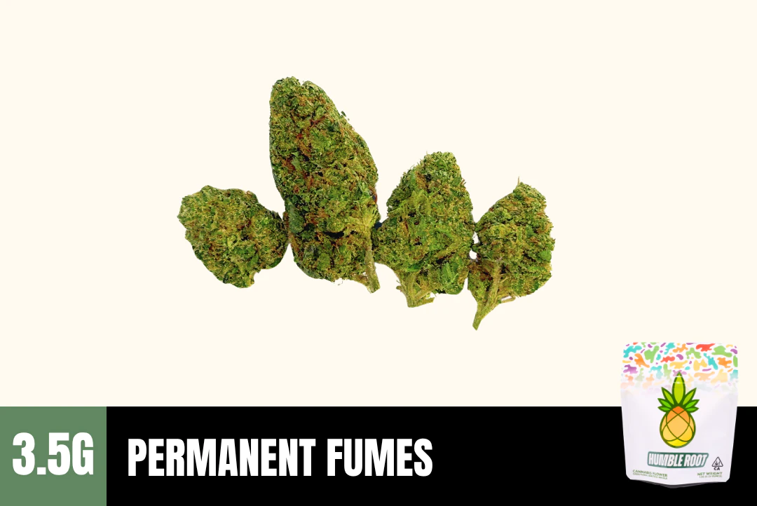 Humble Root - 3.5g Permanent Fumes (Greenhouse) - Humble Root Main Image