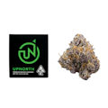 3.5g Purple Afghani (Indoor) - Up North