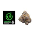 Product Preview Image 1