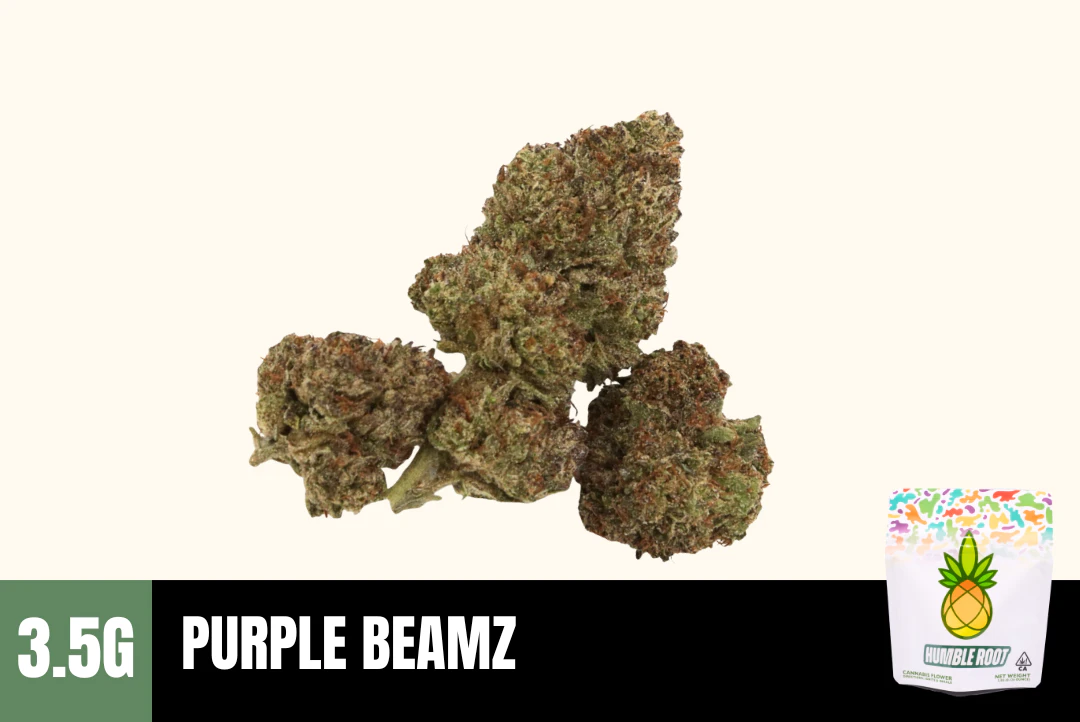 Humble Root - 3.5g Purple Beamz (Greenhouse) - Humble Root Main Image