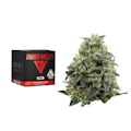 3.5g Purple Lightsaber (Indoor) - Ember Valley