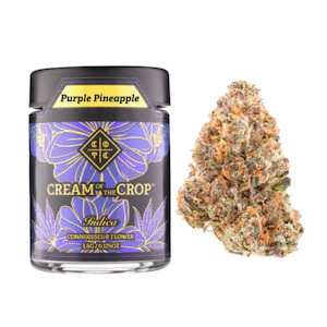 Cream of the Crop - 3.5g Purple Pineapple (Indoor) - Cream of the Crop