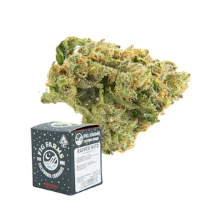 Fig Farms - 3.5g Rapper Weed (Indoor) - Fig Farms
