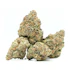 Product Preview Image 2