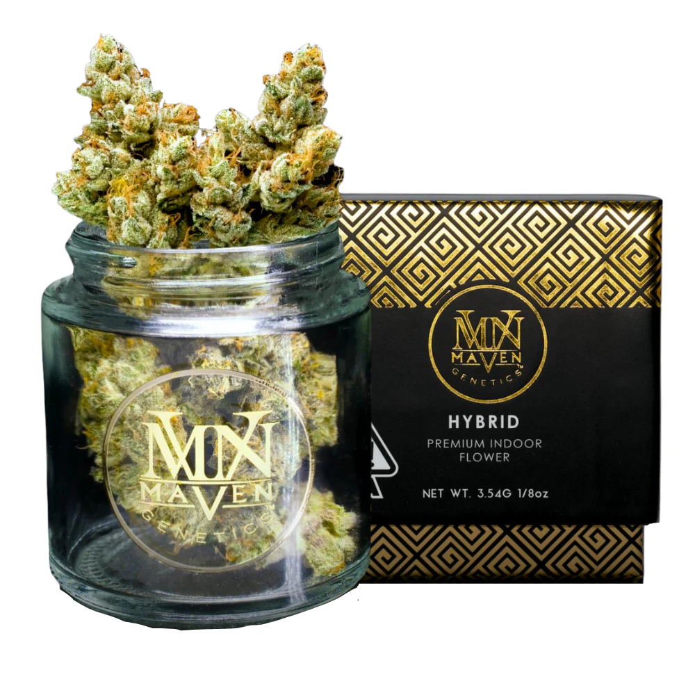 Maven - 3.5g SFV OG (Indoor) - Maven Main Image
