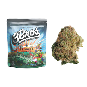 3 BROS GROW - 3.5g Silver Surfer (Indoor) - 3 Bros