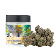 3.5g Sour Cheese (Indoor) - Pearl Pharma