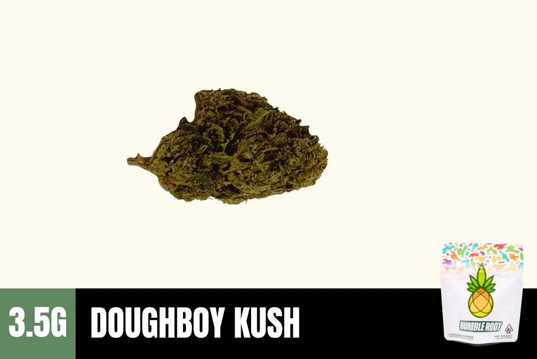 Humble Root - 3.5g Doughboy Kush - Humble Root Main Image