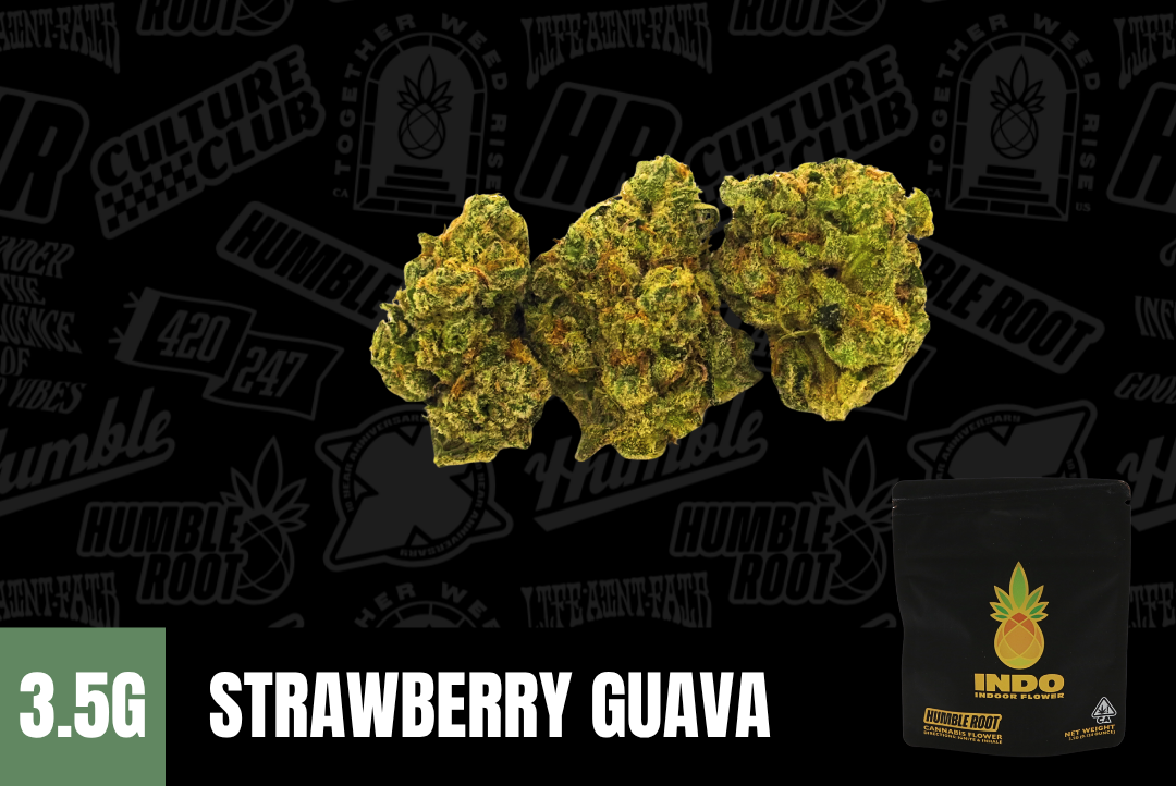 3.5g Strawberry Guava "INDO" (Indoor Smalls) - Humble Root picture