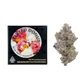 3.5g Stuffed Donut (Indoor) - Team Elite Genetics