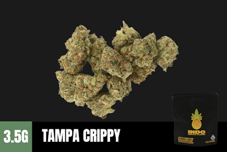 Humble Root - 3.5g Tampa Crippy "INDO" (Indoor Smalls) - Humble Root