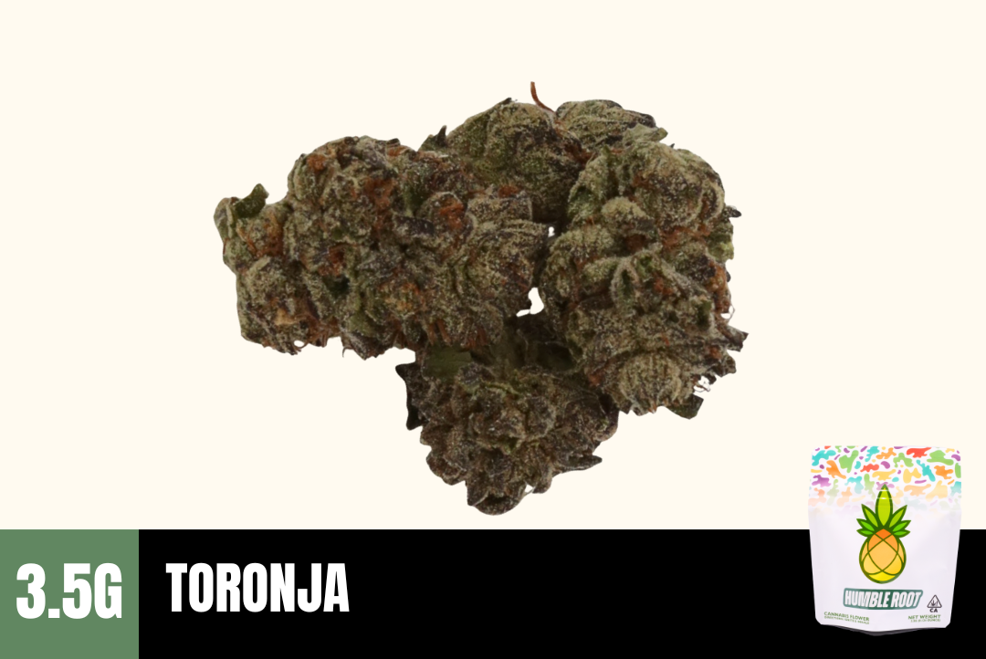 3.5g Toronja (Greenhouse) - Humble Root picture