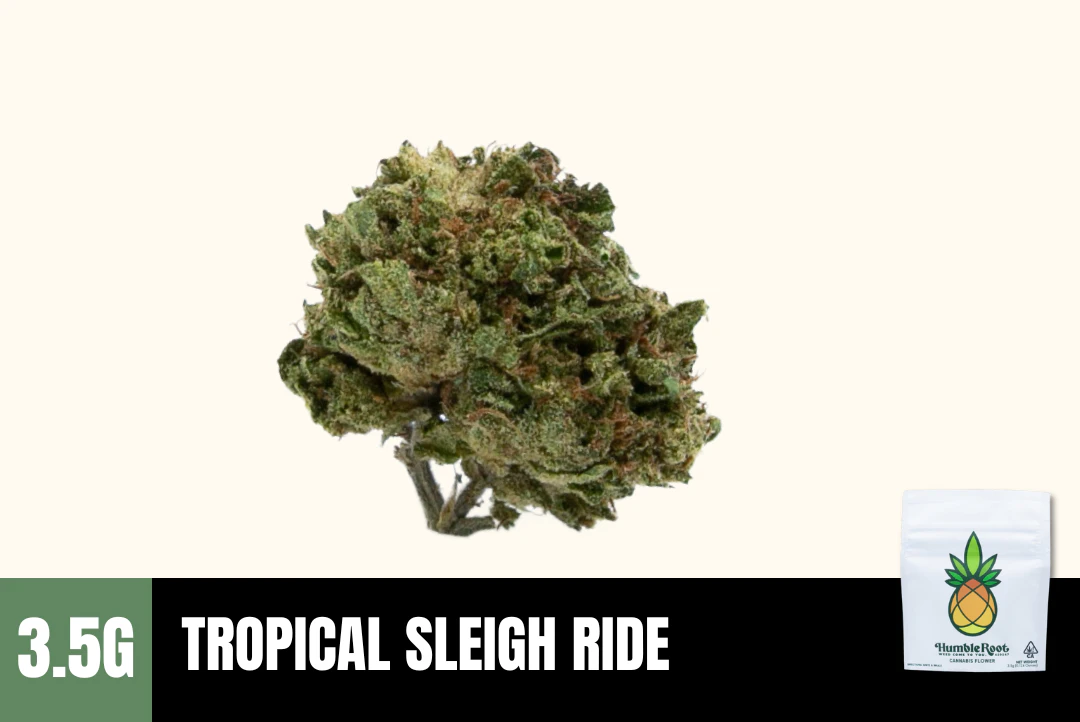 Humble Root - 3.5g Tropical Sleigh Ride (Greenhouse) - Humble Root Main Image