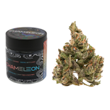 3.5g Truffle Dream (Greenhouse) - Chameleon