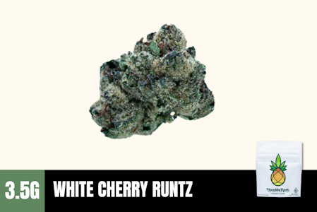 Humble Root - 3.5g White Cherry Runtz (Greenhouse Smalls) - Humble Root