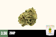 3.5g Zoap (Greenhouse) - Humble Root