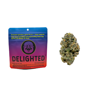 DELIGHTED - 3.5g Zushi (Indoor) - Delighted