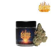 Seed Junky Genetics - 3.5g - Bonfire 