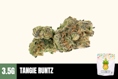 3.5g Tangie Runtz (Greenhouse) - Humble Root