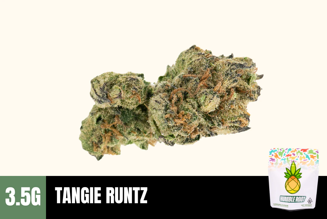 Humble Root - 3.5g Tangie Runtz (Greenhouse) - Humble Root Main Image